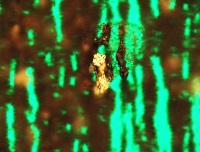 铁谱分析谱片显微图一