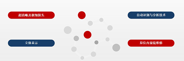 超清晰及极细探头,自动识别与分析技术,原位内窥镜维修,立体显示