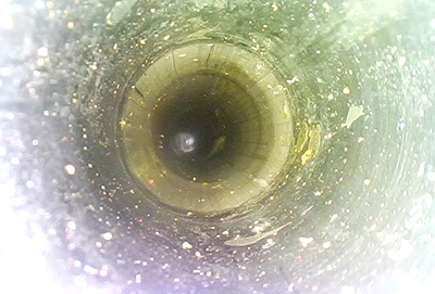 金年会XIE系列内窥镜检测出的缺陷